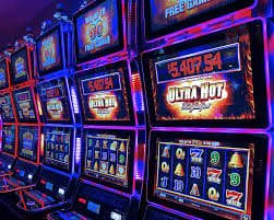 24bet1